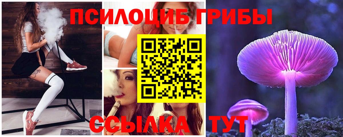 Сарапул  Галлюциногенные грибы Psilocybe  Вход с VPN  Галлюциногенные грибы прущие грибы 